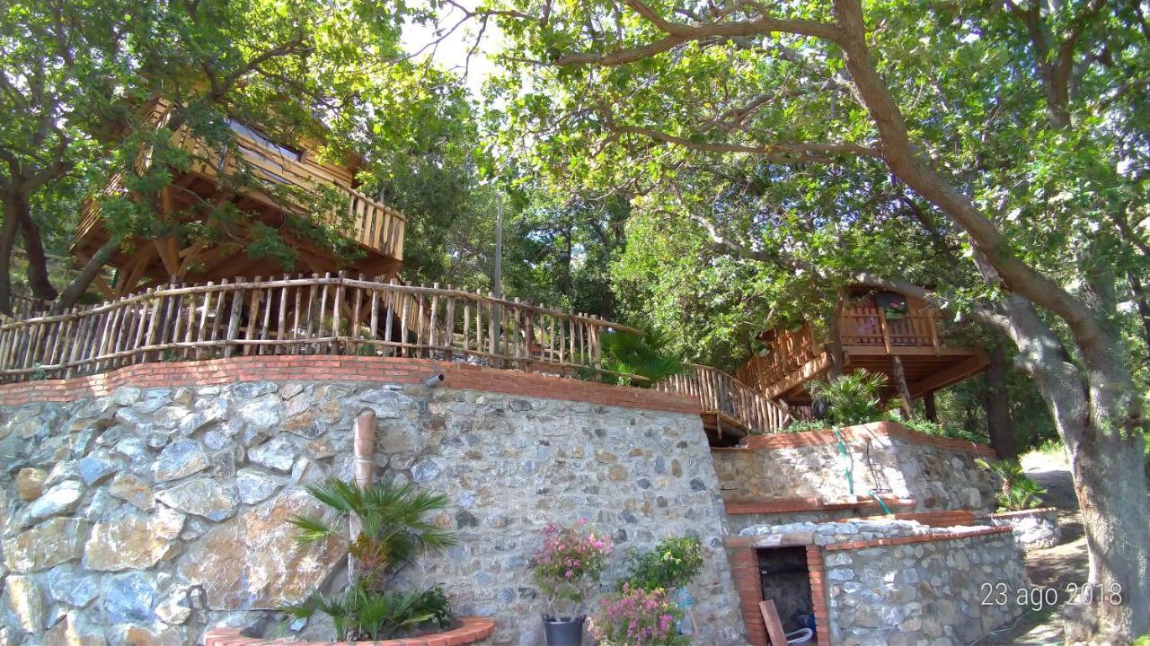 B & B Le Casette Sull'Albero Di Villa Alba Messina Exterior foto