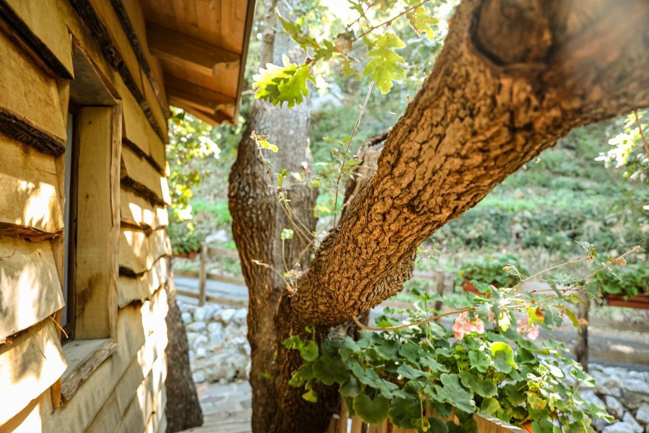 B & B Le Casette Sull'Albero Di Villa Alba Messina Exterior foto