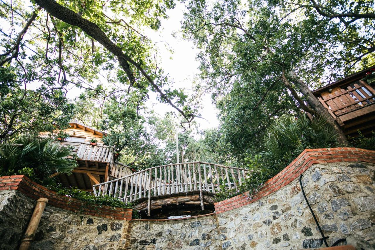 B & B Le Casette Sull'Albero Di Villa Alba Messina Exterior foto