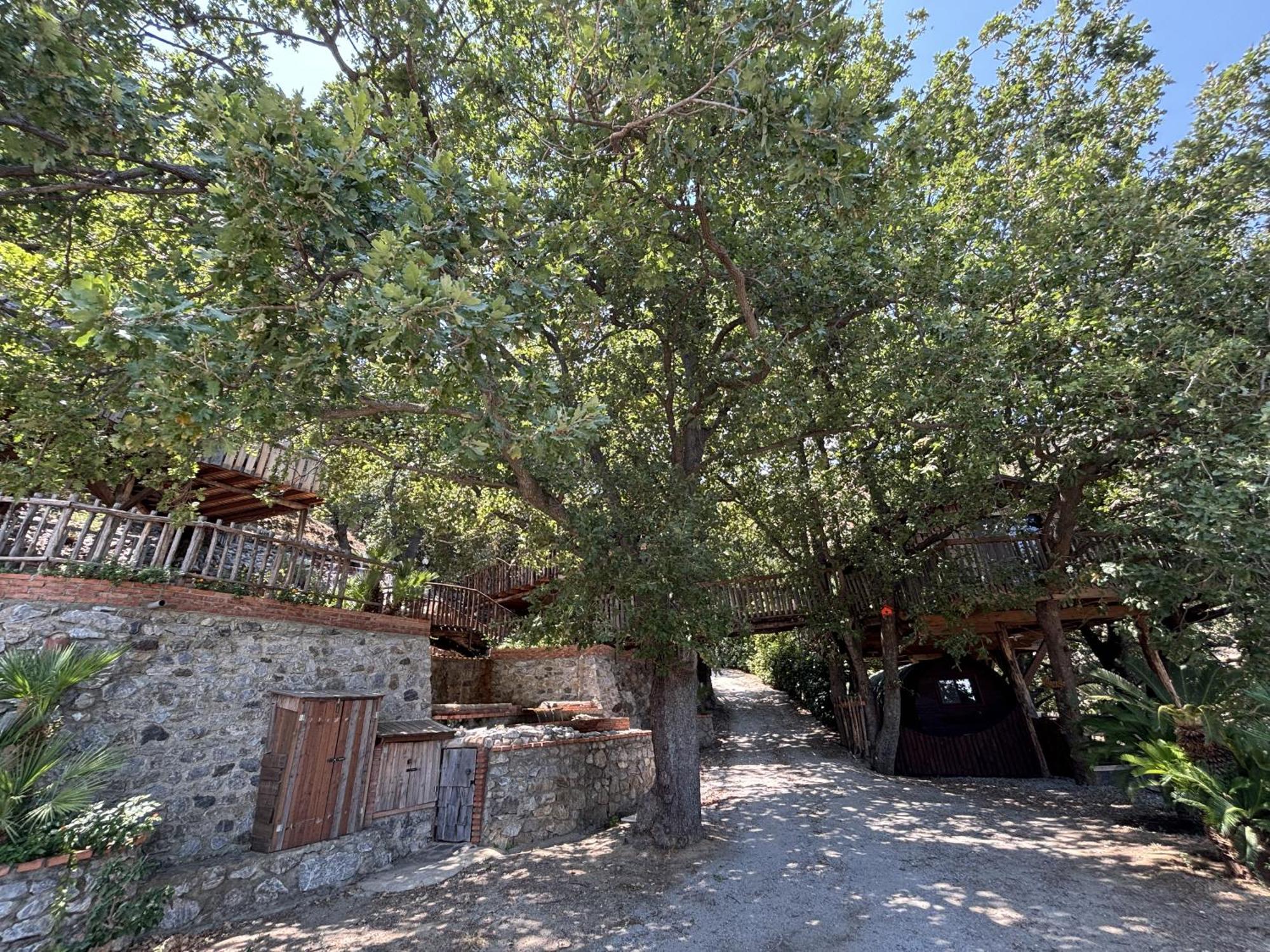 B & B Le Casette Sull'Albero Di Villa Alba Messina Exterior foto